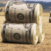 В Івано-Франківській області продали більше ділянок, ніж у Чернівецькій, але менше, ніж у Львівській